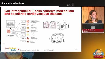 Presentation thumbnail