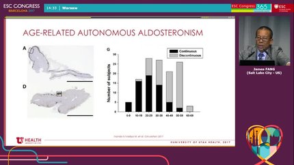 Presentation thumbnail