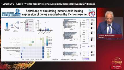 Presentation thumbnail