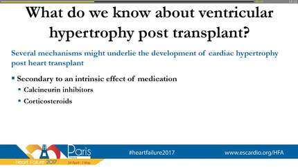 Presentation thumbnail