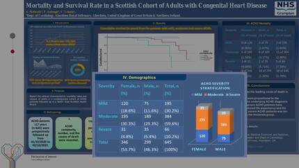 Presentation thumbnail