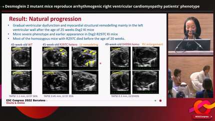 Presentation thumbnail