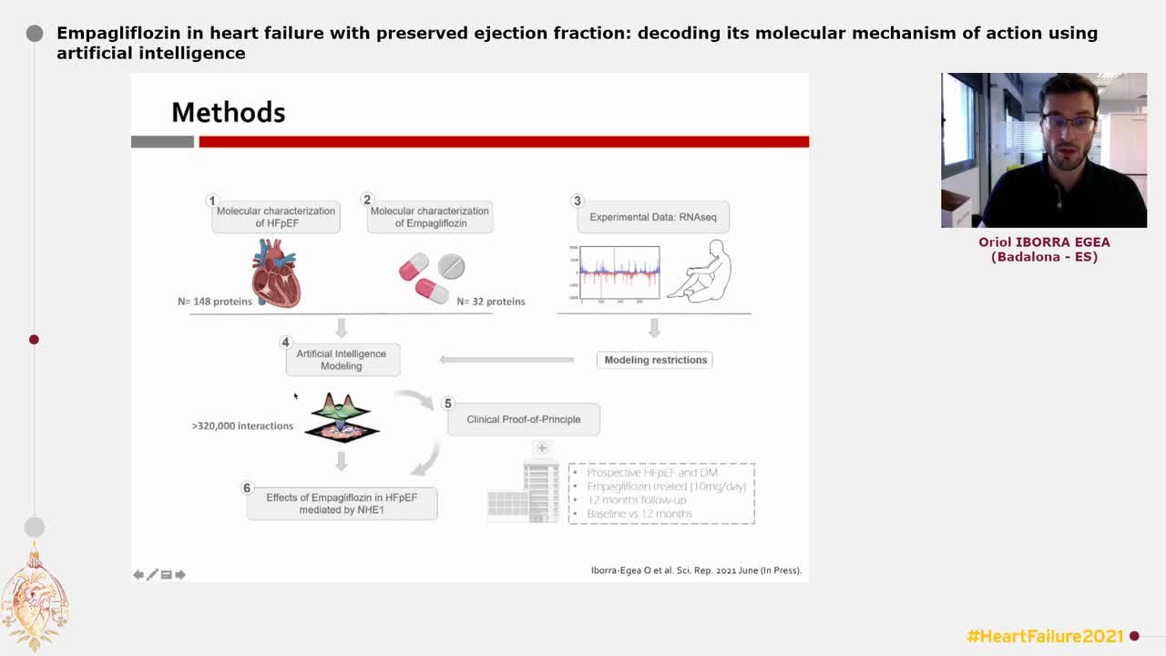Empagliflozin in heart failure with preserved ejection fraction:  decoding its molecular mechanism of action using artificial intelligence