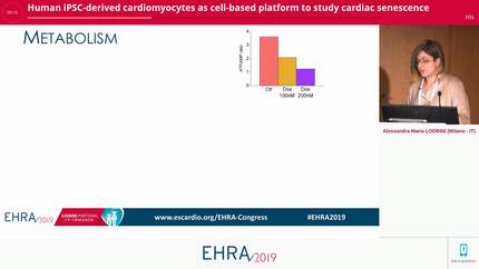Human iPSC-derived cardiomyocytes as cell-based platform to study cardiac senescence