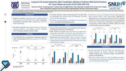 Three-year follow-up of atrial fibrillation burden reduction after cryoballoon pulmonary vein isolation in early persistent atrial fibrillation: results from the COOL-PER trial