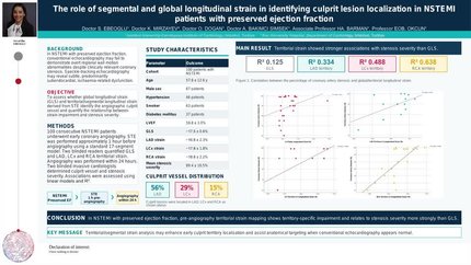 The role of segmental and global longitudinal strain in identifying culprit lesion localization in NSTEMI patients with preserved ejection fraction