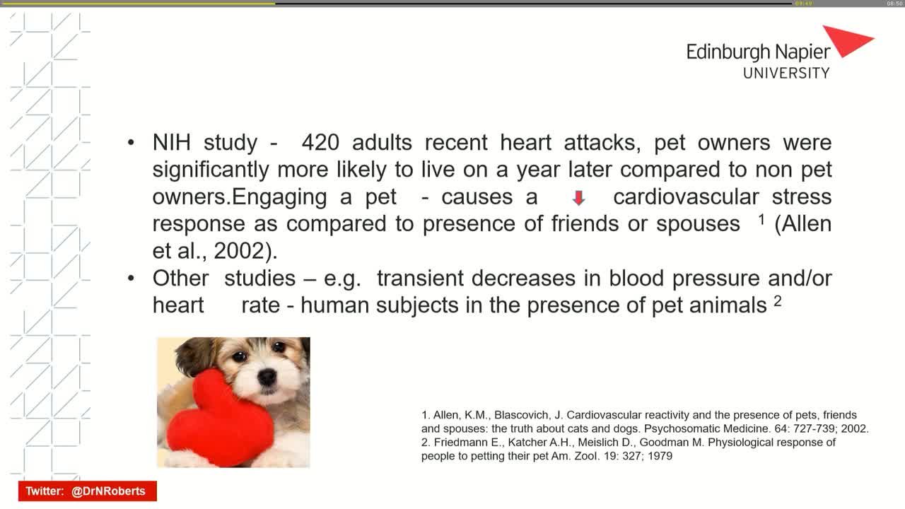Presentation thumbnail