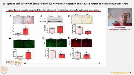 Presentation thumbnail
