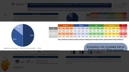 Presentation thumbnail