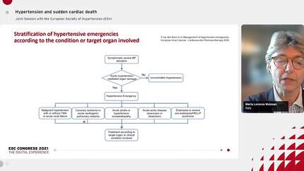 Hypertension and sudden cardiac death