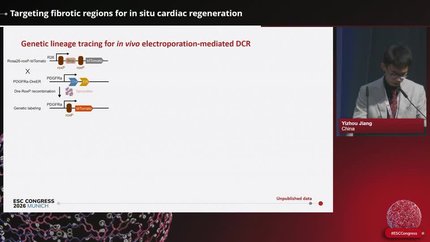 Presentation thumbnail