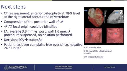 Presentation thumbnail