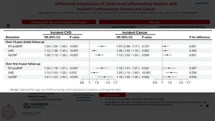Differential associations of cardiorenal-inflammatory markers with incident cardiovascular disease and cancer in the general population