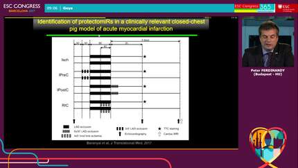 Presentation thumbnail
