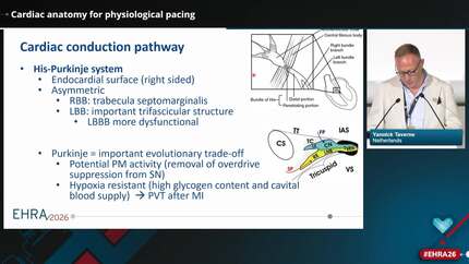 Presentation thumbnail