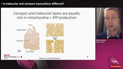 Presentation thumbnail