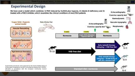 Presentation thumbnail