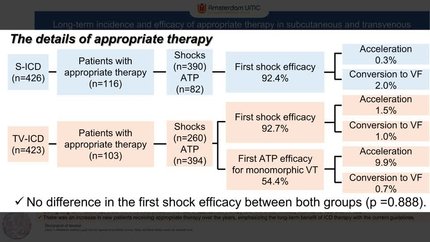 Long-term incidence and efficacy of appropriate therapy in subcutaneous and transvenous implantable cardioverter-defibrillators: A secondary analysis of the PRAETORIAN-XL trial