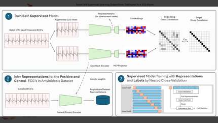 Presentation thumbnail