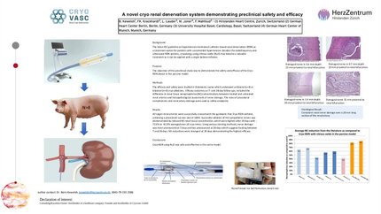 Preclinical evaluation of a novel cryo renal denervation system