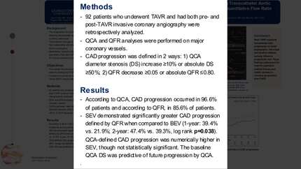 Progression of coronary artery disease in patients undergoing transcatheter aortic valve replacement: a quantitative flow ratio analysis