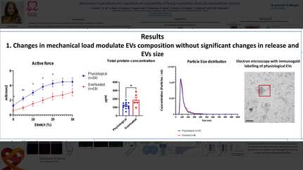 Presentation thumbnail