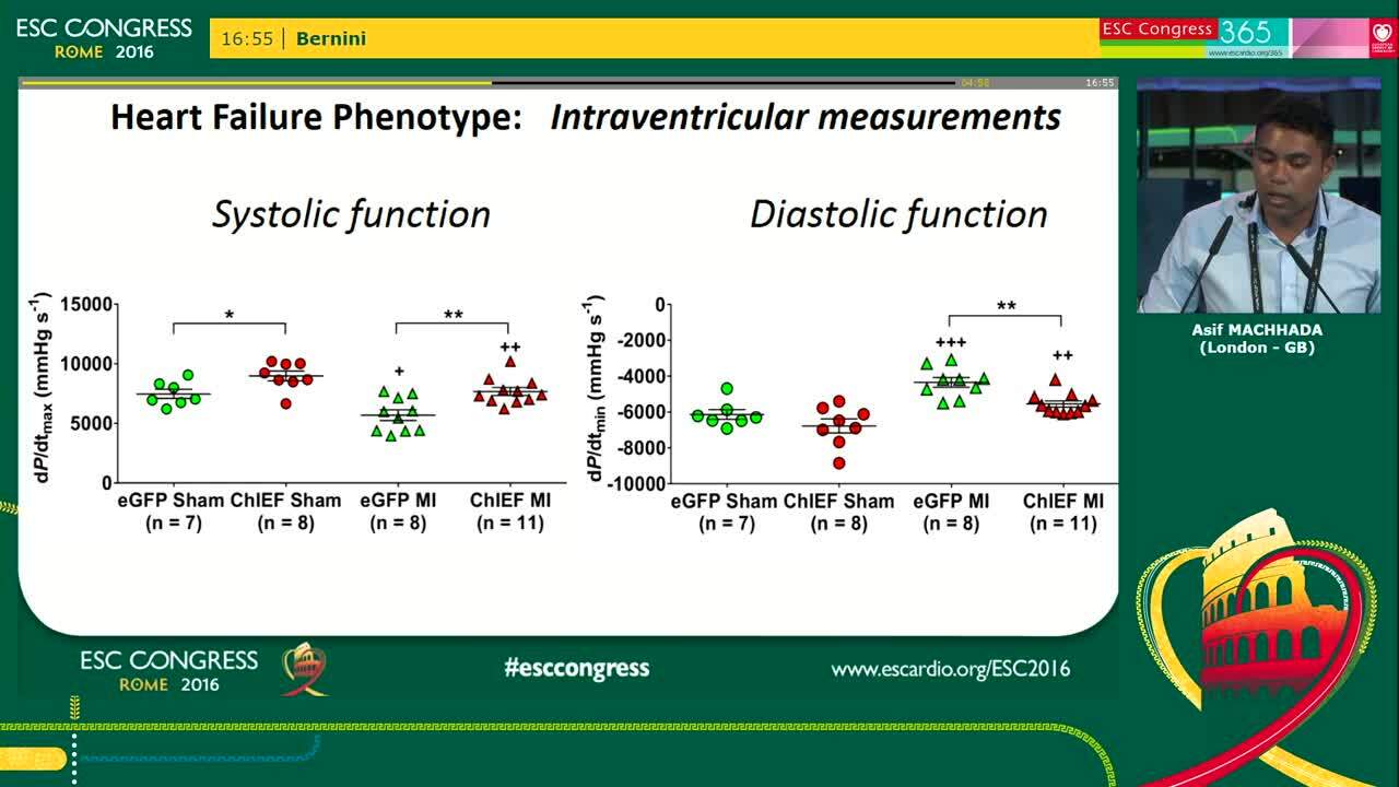 Refining vagus nerve stimulation in heart failure: Selective optogenetic recruitment of c-fibre vagal efferents is sufficient to preserve left ventricular function in a rat model 