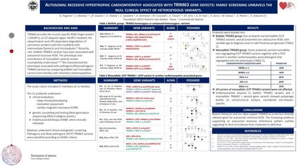 Autosomal recessive hypertrophic cardiomyopathy associated with TRIM63 gene defects: family screening unravels the null clinical effect of heterozygous variants.