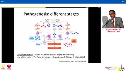 Presentation thumbnail