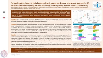 Polygenic determinants of global atherosclerotic plaque burden and progression assessed by 3D vascular ultrasound in young patients with early coronary artery disease