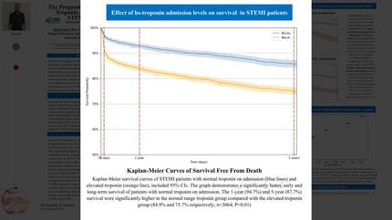 Presentation thumbnail