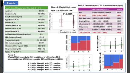 Presentation thumbnail