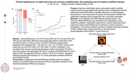 Clinical significance of radial wall strain at coronary calcified sites: the mediating role of eruptive calcified nodules