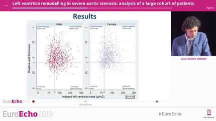 Left ventricle remodelling in severe aortic stenosis: analysis of a large cohort of patients