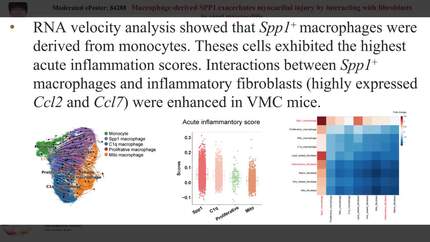 Presentation thumbnail