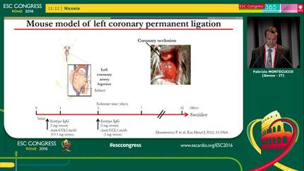 Cardiac-resident macrophages and myocardial healing.