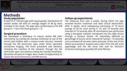 The effect of short-term mitral valve regurgitation on atrial remodelling and atrial fibrillation inducibility in an experimental porcine model