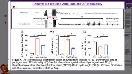 Impact of isorhamnetin for suppression of action potential aberrations associated with atrial fibrillation