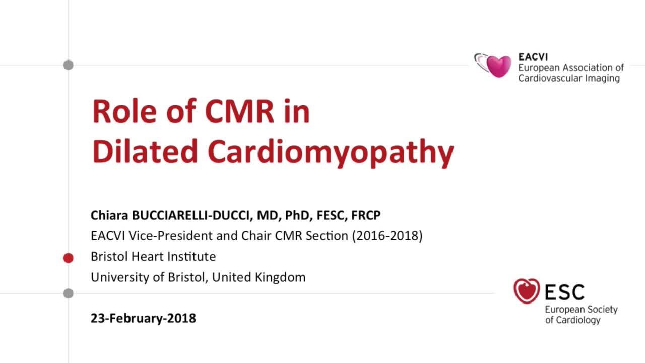 Esc 365 Eacvi Webinar Multi Modality Imaging In Stable Coronary