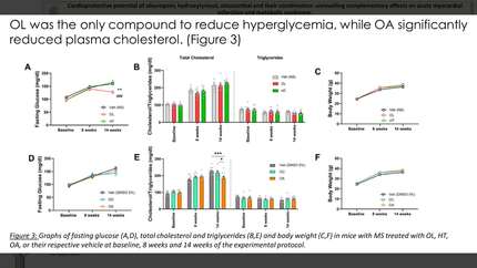 Presentation thumbnail