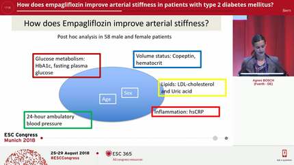 How does empagliflozin improve arterial stiffness in patients with type 2 diabetes mellitus?