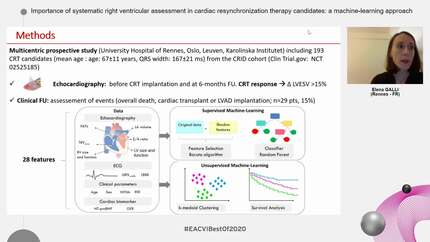 Importance of systematic right ventricular assessment in cardiac resynchronization therapy candidates: a machine-learning approach