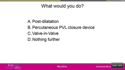 Presentation thumbnail