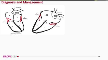 Presentation thumbnail