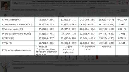 Presentation thumbnail