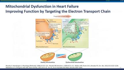 Presentation thumbnail