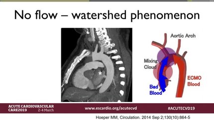 Presentation thumbnail