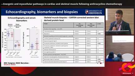 Energetic and myocellular pathways in cardiac and skeletal muscle following anthracycline chemotherapy