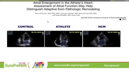 Presentation thumbnail