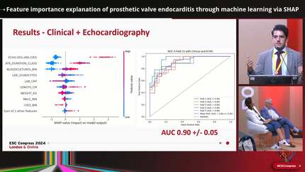 Feature importance explanation of prosthetic valve endocarditis through machine learning via SHAP